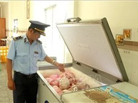 Tiêu hủy hơn 4 tấn thịt, nội tạng lợn không rõ nguồn gốc