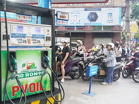 Thí điểm xăng E10: Cuộc chơi của các doanh nghiệp đầu ngành