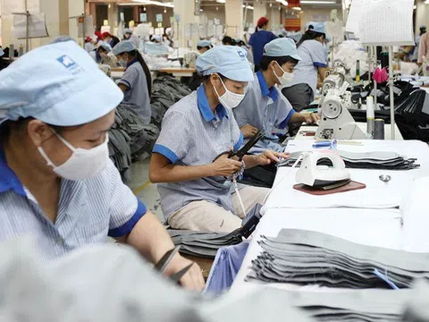 174.000 doanh nghiệp gia nhập thị trường trong 7 tháng đầu năm