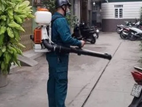 TP Hồ Chí Minh: Chủ động các biện pháp trước nguy cơ tái xuất hiện bệnh Chikungunya