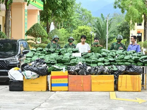 Hà Tĩnh: Bắt giữ đối tượng vận chuyển, tàng trữ 240 kg cần sa