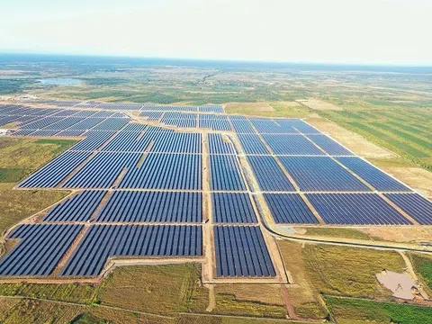 Xuân Thiện Đắk Lắk báo lãi gần 90 tỷ đồng, dư nợ trái phiếu còn hơn 4 tỷ
