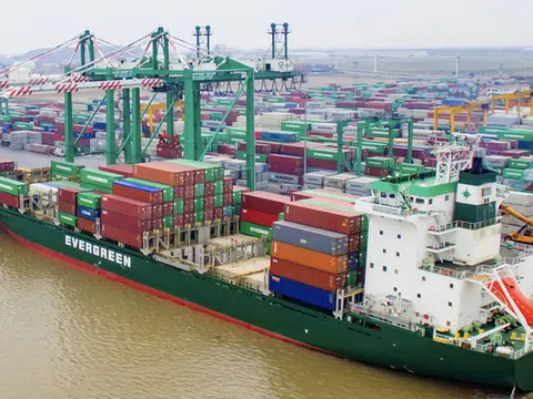 Cổ phiếu VSC tăng 76%, cổ đông lớn thoái bớt vốn thu về 388,5 tỷ đồng