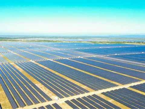 Thành viên của Xuân Thiện Group báo lãi ròng bán niên tăng 49%, nợ phải trả giảm hơn 150 tỷ đồng