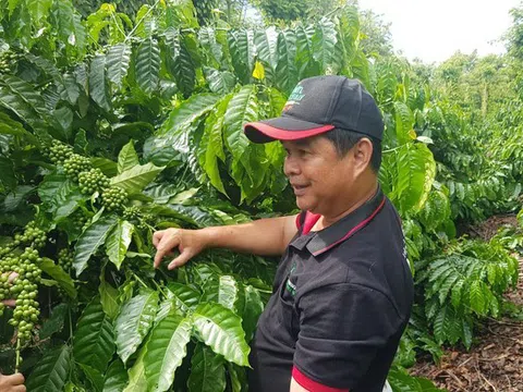 Nestlé Việt Nam thúc đẩy thực hành an toàn vệ sinh lao động trong quản lý rác thải
