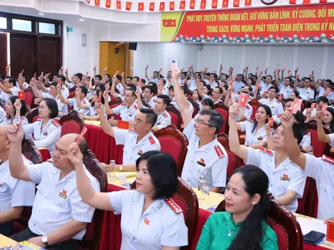 Thanh tra Chính phủ: Ba dấu ấn lớn của nhiệm kỳ 2020 -2025