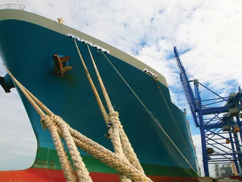 Global Pacific (PCT) vay nghìn tỷ mở rộng đội tàu, lợi nhuận 6 tháng 'bốc hơi' 38%