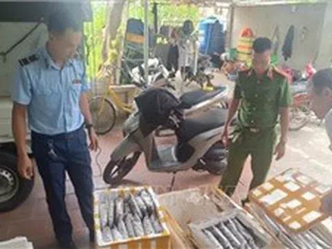 Tiêu hủy hơn 1.000 kg các loại côn trùng không rõ nguồn gốc xuất xứ