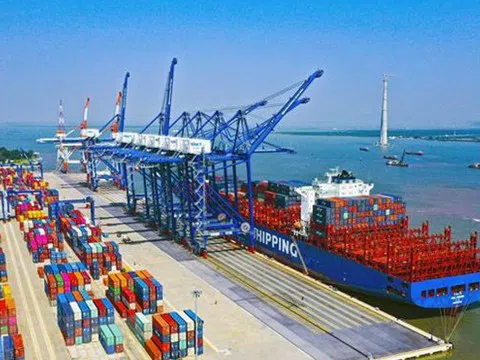 Dịch vụ biển Tân Cảng (TOS): Sắp phát hành 14 triệu cổ phiếu thưởng sau khi chi 93 tỷ đồng cổ tức tiền mặt