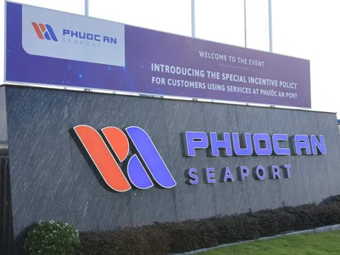 Cảng Phước An (PAP) lỗ kỷ lục gần 250 tỷ, bất ngờ có nữ Phó Tổng Giám đốc 23 tuổi