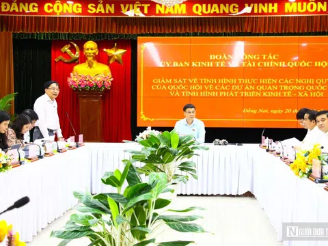 Đồng Nai nghiên cứu mô hình khu thương mại tự do