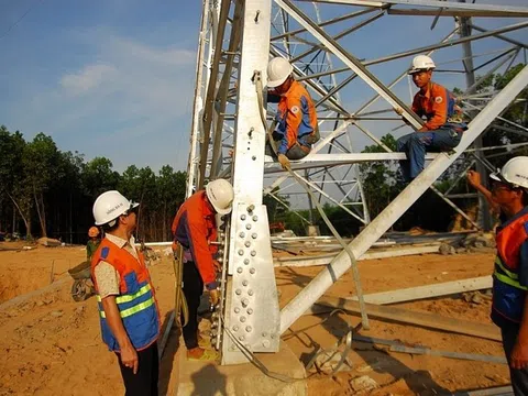Sông Đà (SJG) chào bán gần 4,1 triệu cổ phiếu Sông Đà 11 (SJE) với giá khởi điểm gấp 3 lần thị giá