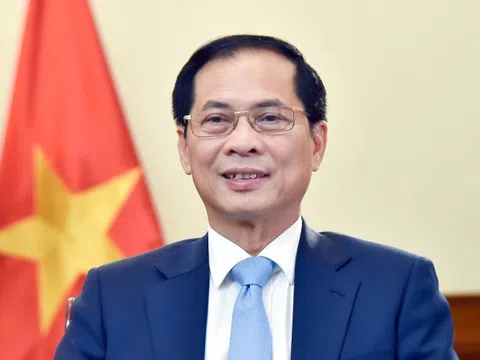 Phó Thủ tướng Bùi Thanh Sơn: Ngoại giao Việt Nam đã có những đóng góp quan trọng, in đậm dấu ấn trong từng chặng đường lịch sử của dân tộc