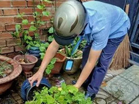 TP Hồ Chí Minh đồng loạt triển khai biện pháp phòng, chống bệnh Chikungunya