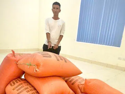Khởi tố, bắt tạm giam đối tượng đột nhập nhà dân trộm 10 bao lúa