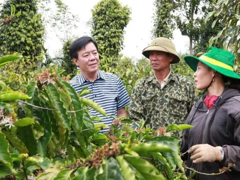 Bình Điền: Hành trình hơn nửa thế kỷ phụng sự nông dân và tầm nhìn tiên phong xanh hóa - số hóa