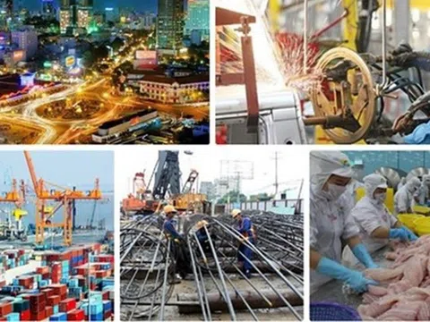 Bổ sung 5 thành viên Hội đồng Tư vấn chính sách