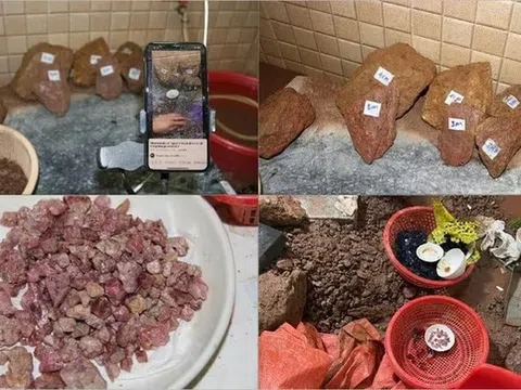 Triệt phá đường dây lừa đảo livestream bán đá "đổ thạch", chiếm đoạt 10 tỷ đồng