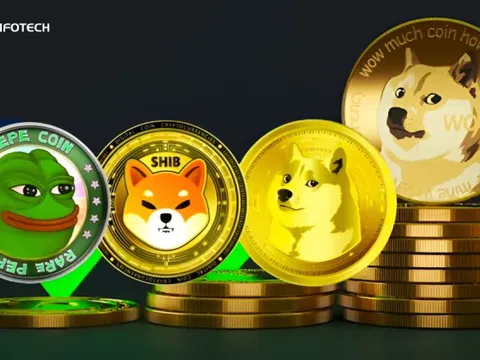Cơn sốt Meme Coin: Cơ hội đầu tư hay canh bạc trên thị trường tiền mã hóa?