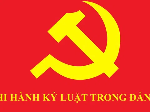 Bộ Chính trị, Ban Bí thư kỷ luật tổ chức đảng, đảng viên vi phạm