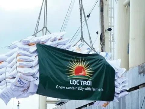 ĐHĐCĐ 2025: Cổ đông Lộc Trời (LTG) không thông qua kế hoạch lỗ, ban lãnh đạo công bố tái cấu trúc sâu rộng