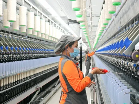 Sợi Thế Kỷ (STK) sắp phát hành gần 43,5 triệu cổ phiếu để trả cổ tức, tỷ lệ 45%