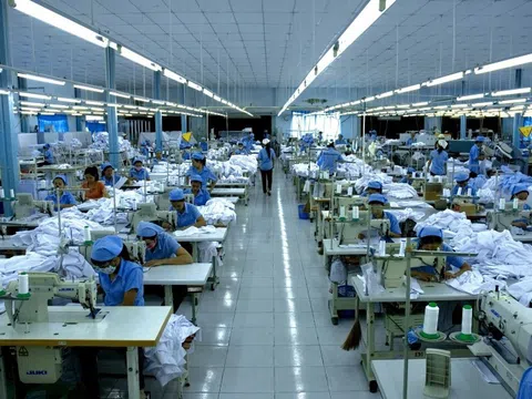 Không công bố thông tin chứng khoán, công ty May Thăng Long bị xử phạt