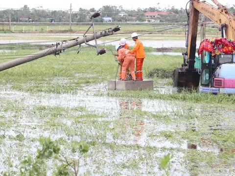 Sau bão số 5 (Kajiki): 70% khách hàng bị ảnh hưởng đã có điện trở lại