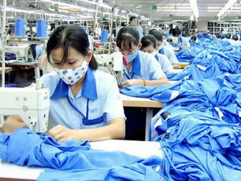 May Quốc tế Thắng Lợi (TLI): Trình ý kiến giải thể thương hiệu sau 5 năm thua lỗ, cổ phiếu 'bốc hơi' 87%