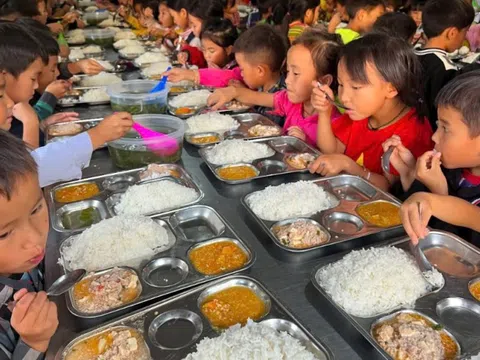 Dự kiến mức hỗ trợ bữa ăn trưa cho học sinh tiểu học và THCS xã biên giới đất liền
