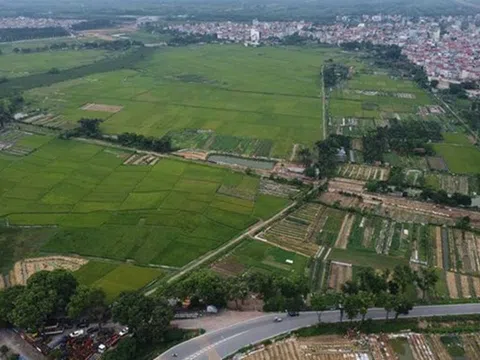 Hướng dẫn các căn cứ để thực hiện thu hồi đất, cho phép chuyển mục đích sử dụng