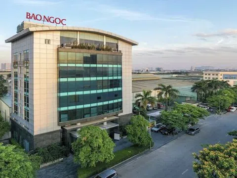 Chủ thương hiệu bánh Bảo Ngọc bị nêu tên chậm đóng bảo hiểm, báo lỗ hơn 17 tỷ đồng sau 6 tháng