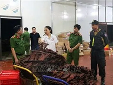 Hàng trăm tấn thịt sấy khô 'Đặc sản vùng cao' có nguyên liệu nhập từ Ân Độ