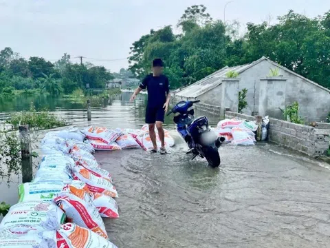 Hà Nội: Xác minh trường hợp phá bao cát chắn lũ trên đê