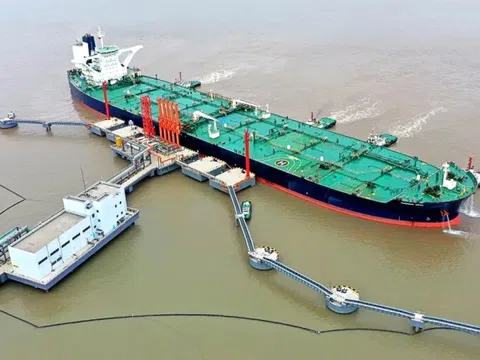 Lợi nhuận giảm 71%, PVT Logistics (PDV) vẫn chi 33 tỷ đồng trả cổ tức tiền mặt