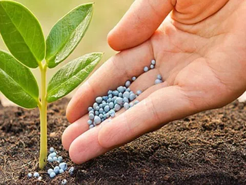 Ngành phân bón, hóa chất bùng nổ: Đạm Cà Mau, Đạm Phú Mỹ đã vượt xa kế hoạch lợi nhuận cả năm