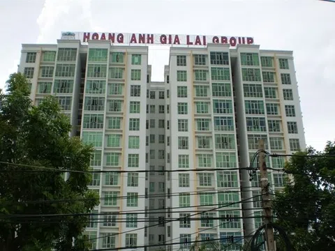 Con trai Bầu Đức hoàn tất mua 25 triệu cổ phiếu HAG, nâng sở hữu lên gần 5%