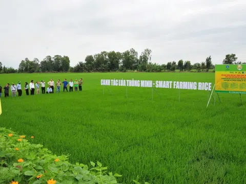 Đầu Trâu Bio-Canxi: Vì một nền nông nghiệp bền vững