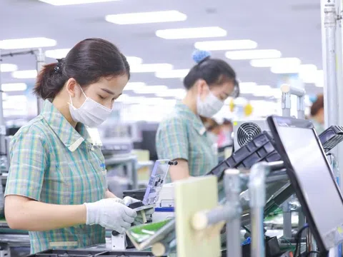 26.200 doanh nghiệp gia nhập thị trường mỗi tháng