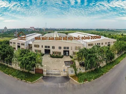 Công ty Thương mại và Xây dựng Đông Dương (DDB) bị phạt do công bố thông tin chậm và sai lệch kết quả lợi nhuận