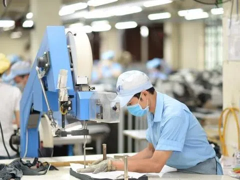 Gần 21.000 doanh nghiệp ra nhập thị trường trong tháng 8/2025