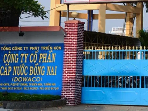 Lãi bán niên thấp nhất trong 6 năm, Cấp nước Đồng Nai (DNW) xin điều chỉnh giảm kế hoạch kinh doanh 2025