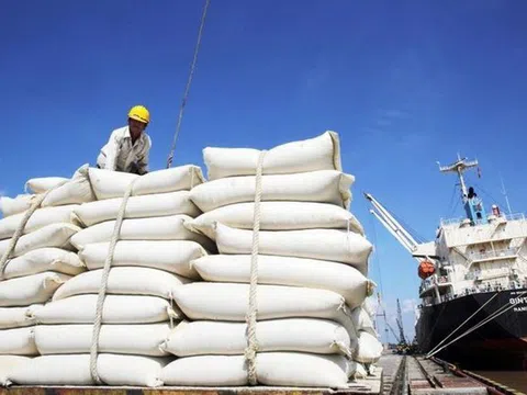 Philippines tạm ngừng nhập khẩu gạo: Bộ Công Thương khuyến nghị doanh nghiệp chủ động thích ứng