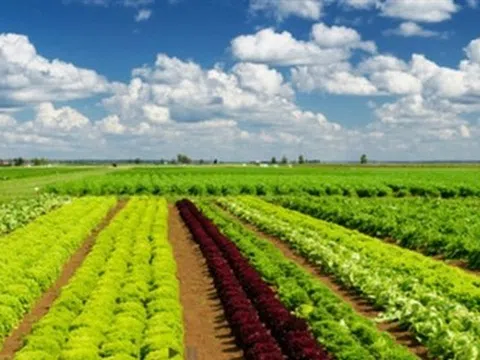 Pan Farm báo lãi trăm tỷ, nợ vay ngân hàng tăng vọt gấp 4 lần