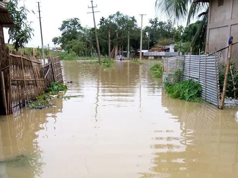 Ứng phó lũ, bảo đảm an toàn đê điều