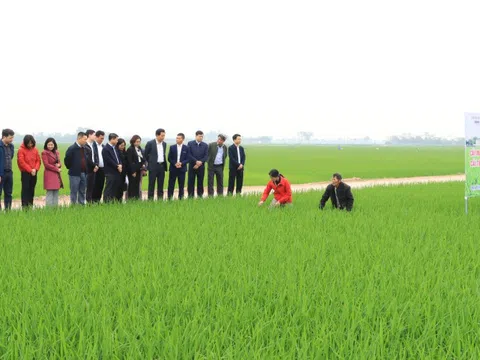 Hà Nội: 15 năm hành trình bứt phá xây dựng nông thôn mới