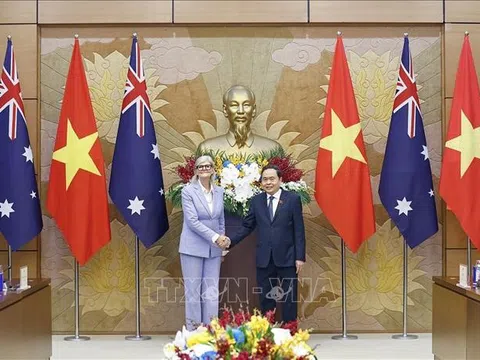 Chủ tịch Quốc hội Trần Thanh Mẫn hội kiến Toàn quyền Australia Sam Mostyn