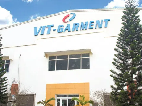 Hệ sinh thái VIT Corporation của Chủ tịch Nguyễn Chí Dũng và khoản nợ 16,5 tỷ đồng bảo hiểm xã hội