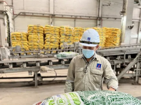 Kinh doanh tăng trưởng đột biến, công ty con của Đạm Phú Mỹ (DPM) chốt chi 12,5 tỷ đồng cổ tức