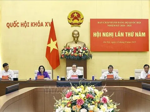 Hội nghị lần thứ Năm, Ban Chấp hành Đảng bộ Quốc hội